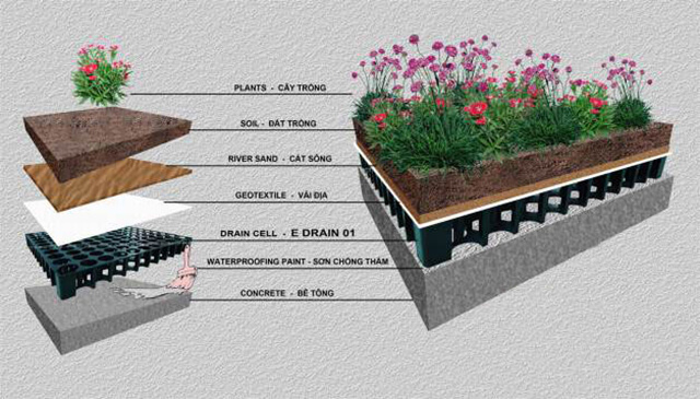 Cách chống thấm sân thượng để trồng cây